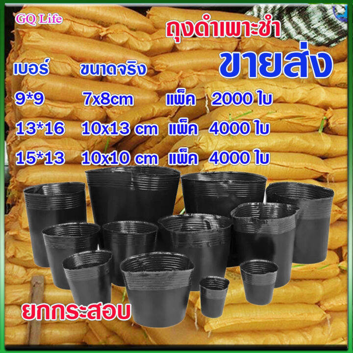 ถุงดำเพาะชำขายส่ง-ถุงเพาะชำขายส่ง-ถุงดำเพาะชำยกกระสอบ-ถุงดำขายส่ง-ถุงเพาะปลูกขายส่ง-ถุงเพาะต้นกระท่อม-ถุงเพาะถูกถุงเพาะกล้าขายส่ง-2