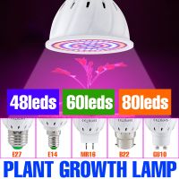 220V Hydroponic Growth Light E27 Led Grow หลอดไฟ Phyto E14 Full Spectrum สำหรับดอกไม้ MR16 GU10 Hydroponic Growing โคมไฟ B22