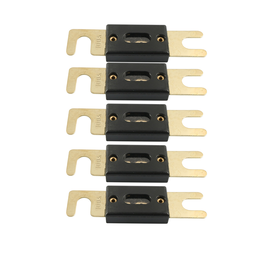 5PCS AGU Fuses Gold Plated  For Car RV Boat Audio System 60/80/100A  Glass Fuse 