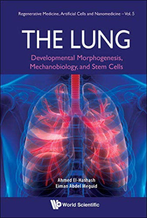 Lung The Developmental Morphogenesis Mechanobiology And Stem Cells By ...