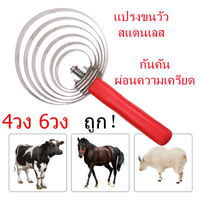 ราคาโรงงาน แปรงขนวัว 4 วง 6 วง แปรงขนแกะ แปรงขนแพะ แปรงขนม้า สแตนเลส 403 กันคัน ผ่อนความเครียดให้วัว แกะ ม้า