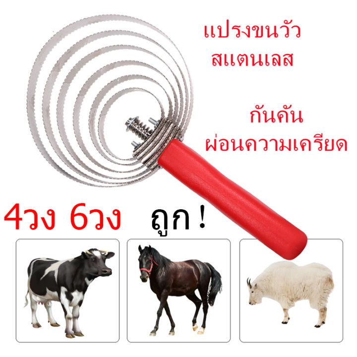 ราคาโรงงาน-แปรงขนวัว-4-วง-6-วง-แปรงขนแกะ-แปรงขนแพะ-แปรงขนม้า-สแตนเลส-403-กันคัน-ผ่อนความเครียดให้วัว-แกะ-ม้า