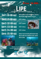 [ผ่อน 0%] Lipe Mv. Like Andaman – 15 Dives (11-14 Aug 2023)