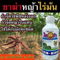 ?สูตรเข้มข้น ?กำจัดหญ้าไร่มัน 500 cc. กำจัดหญ้ามันสำปะหลัง กำจัดหญ้าใบแคบ ใบแหลม ฉีดทับ แตงกวา กำจัดหญ้าผัก ยากำจัดหญ้า ชุดกำจัดหญ้า กำจัดหญ้าใบแคบ