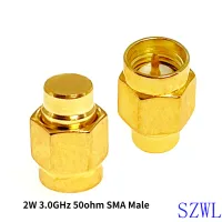 ทองเหลือง RF 3.0GHz 50ohm 1W RP SMA ชาย RF Coax Termination Dummy Load Connector ซ็อกเก็ตทองเหลืองตรง Coaxial RF อะแดปเตอร์50ohm 2W SMA ชาย RF Coaxial Termination Dummy Load Connector ซ็อกเก็ตทองเหลืองตรง Coaxial RF Adapters