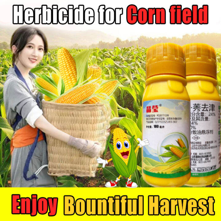 XX MALL Herbicide for corn grass and weeds Weed and grass killer Grass