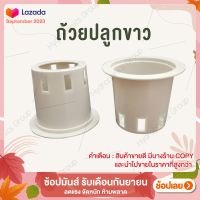 ถ้วยปลูกผักไฮโดรโปนิกส์สีขาว 1 ชุด จำนวน 10 ใบ by hydroponicgroup