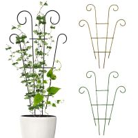 Matal Plant Climbing Trellis Plant Support Stands Indoor Rose Vine Stakes Garden Potted Iron Fixed Rod Rack Cages Accessories