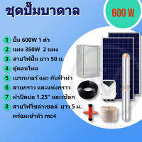 ปั๊มบาดาล ซับเมิร์ส DC บัสเลส ขนาด 600 W พร้อมแผง 350W ใช้งานได้ทันที