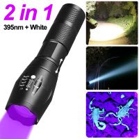 2 In 1 UV Flashlight Purple White Dual Light Zoomable Torch Pet Urine Stains Detector Scorpion Hunting Ultraviolet Flashlights Rechargeable  Flashligh