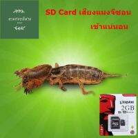 SD Card เสียงแมงจีซอน แมงกระซอน เข้าแน่นอน ใช้ไม่ได้ยินดีคืนเงิน