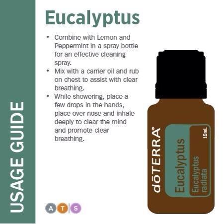 น้ำมันหอมระเหยยูคาลิปตัส-eucalyptus-essential-oil-doterrฆ่าเชื้อไวรัส-น่ำมันหอมระเหย-น้ำมันยูคาลิปตัส-กลิ่นหอม