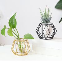 Hydroponic Plant Flower Iron Line Vase Nordic Golden Glass Vase Plant Holder Terrarium Geometric Home Decor Modern Vase Metal