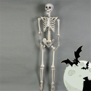 FOO Posable Skeleton Halloween Decor Scary Man Bone Creepy Party Decoration