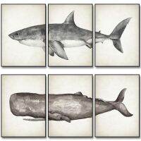 2023✒ Marine Animals 3Pieces Canvas Paintings Great White Shark Posters and Prints Killer Whale Wall Art Picture for Home Decoration