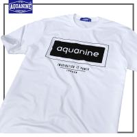 เสื้อยืด AQUANINE  tshirt  เสื้อยืดผู้หญิง รุ่น IMAGINATION เสื้อยืดสีขาว ลิขสิทธิ์แท้