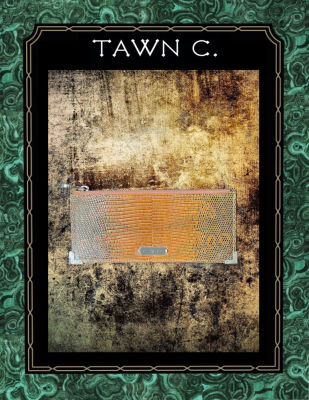 TAWN C. Exotic Skin Accessory &amp; Stationary Collection - Lizard Skin, Long Envelop in Nude Brown