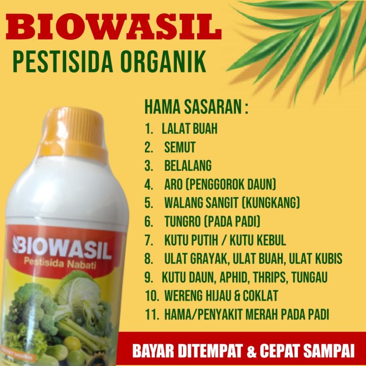 Biowasil 500 Ml Obat Hama Buah Mangga Pupuk Semprot Buah Mangga Anti Hama Semut Buah Mangga 1784