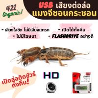 ?(Flash-Sale) เสียงต่อ เสียงล่อแมงจีซอน เสียงแมงกระชอน แฟลชไดร์ฟเสียงแมงกระชอน ชัด ใส ไม่มีโฆษณา HD มีเก็บปลายทาง Wow สุด แฟลชไดร์ฟไอโฟน