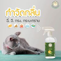 สเปรย์ดับกลิ่น ฉี่หมา ฉี่แมว ท่อน้ำ ฉี่คน ห้องน้ำ สูตร Bio Power ขนาด 450 ml