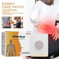 Kidney Care Patch Restores Kidney Function, Detoxifies, Eliminates Accelerates Fatigue, Circulation Patch Blood W1G2