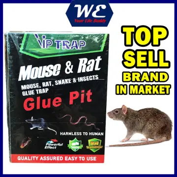 Mouse Trap Rat Trap, Mouse Traps Indoor For Home, Vip Home