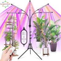 [Qingxin fabrics] ไฟ LED เต็มสเปกตรัม Grow DC 5V USB Phyto โคมไฟเดสก์ท็อปพืช Grow Th โคมไฟในบ้านผักดอกไม้ต้นกล้า Succulent Fitolampy