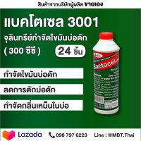 24 ขวด ย่อยสลายไขมัน แบคโตเซล BACTOCEL 3001 300cc กำจัดไขมัน บ่อดักไขมัน สลายไขมัน ดับกลิ่นเหม็นไขมัน อ่างล้างจานตัน ท่อซิงค์ตัน ไขมันอุดตัน