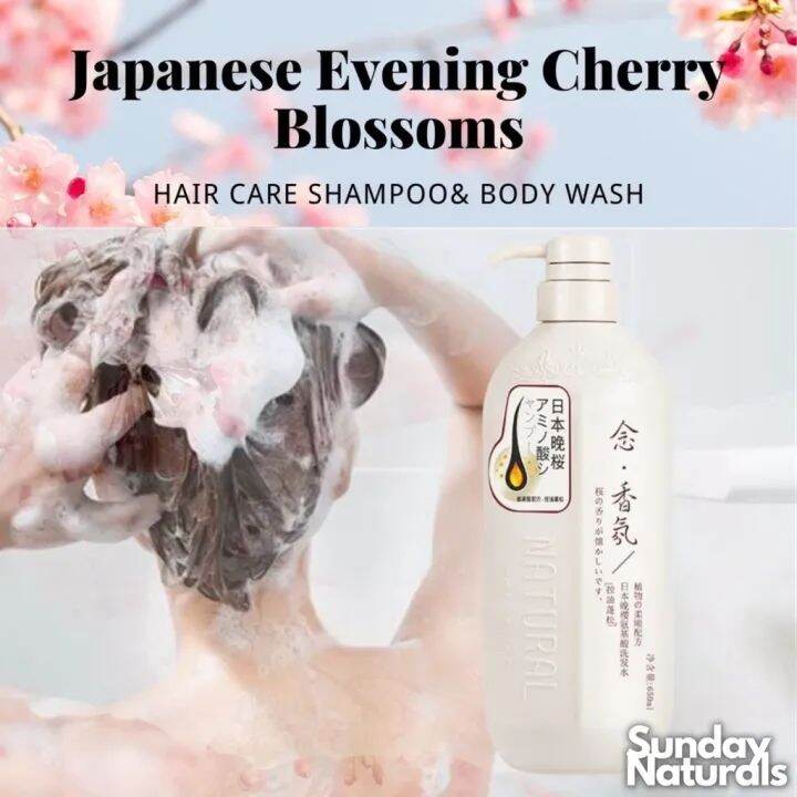 300ML SHAMPOO SAKURA JEPANG Original /SAKURA SHAMPOO JEPANG / SAKURA