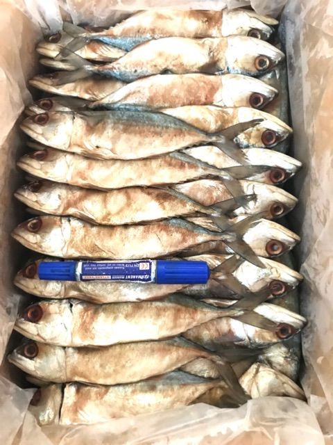 ปลาทูมัน-ปลาทูเค็มน้อย-ถูกที่สุด-500-กรัม