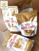 Royal Canin Chihuahua Adult สำหรับสุนัขพันธุ์ชิวาวา 8 เดือนขึ้นไป มี 2 ขนาด (ขนาด 1.5 kg.)และ (ขนาด 3 kg.)