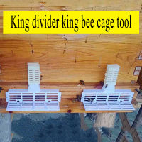 10ชุด Apiculture Kit Bee Queen Anti Escape กรอบ Nest ประตู Multifunctional บทนำ Imprason Cage Swarm Beekeeping เครื่องมือ