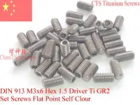 DIN 913 M3 Titanium Set Screws M3x3 M3x4 M3x5 M3x6 M3x8 M3x10 M3x12 M3x14 M3x16 M6x6 M6x8Flat Point Ti GR2