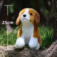 2023ใหม่ตุ๊กตาตุ๊กตายัดนุ่นรูปสุนัข Plushie Harrier น่ารักเหมือนจริงหมาพันธ์บีเกิ้ลความแม่นยำสูงตุ๊กตาสัตว์จำลองตุ๊กตาของเล่น Kawai ของขวัญ