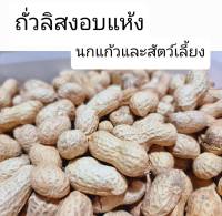 รายละเอียดสินค้า ถั่วลิสง (เกรด A) อาหารนก หนู กระรอก (แบ่งขาย 500g.) ถั่วลิสง (เกรด A) อาหารนก หนู กระรอก แพรี่ด็อก (แบ่งขาย 500g.)