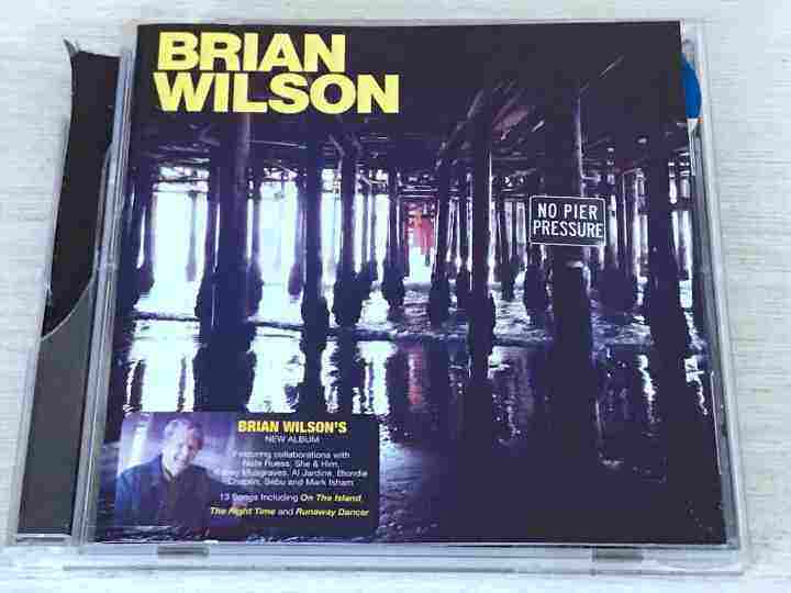 No pier pressure Brian Wilson | Lazada PH