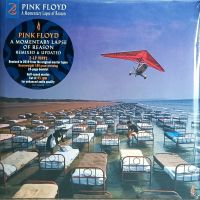 Pink Floyd - A Momentary Lapse Of Reason