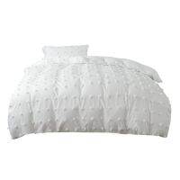 Modern Minimalist Quilt Cover Nordic Style Bedding Sets Soft Warm Solid Color Covers Pillowcase Plush