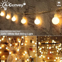 ไฟ Led Fairy Ball AC 220V EU ปลั๊ก5/10/20M กลางแจ้ง/ในร่มไฟถนนคริสต์มาส/ปีใหม่คริสต์มาส Festoon LED ไฟสำหรับตกแต่งบ้าน