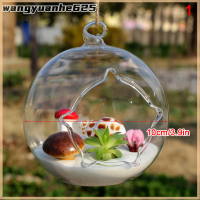 [WYH Store] COD แขวนลูกบอลโปร่งใสแก้วดอกไม้ planter แจกัน Terrarium Landscape Container