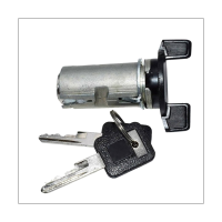 Car Ignition Switch Cylinder Lock Bolt in with 2 Keys 701398 for