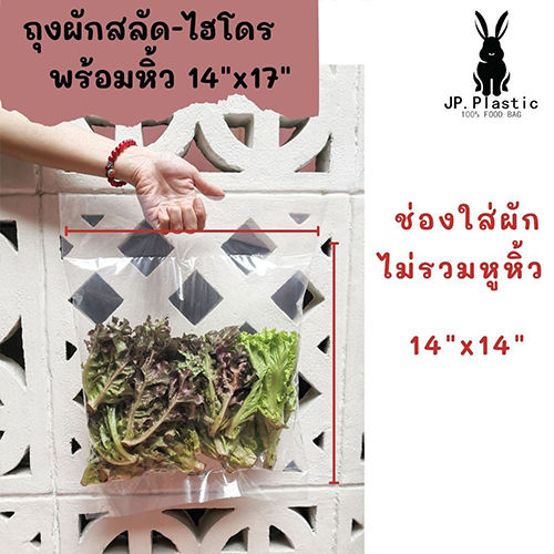 ถุงผักสลัด-salad-ถุงผัก-1-กก-ผักสลัดไฮโดร-ถุงพร้อมหิ้ว-ใช้คู่กับเครื่องซีล-ถุงพีอี-ll-ถุงใส-แช่แข็งได้-pe-เหนียว-นุ่ม