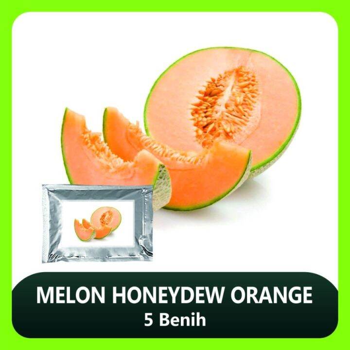 Melon Honeydew Orange 5 Benih Lazada Indonesia