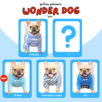 ชุดเก็บขนสุนัข wonder dog เสื้อสุนัข เสื้อหมา เสื้อแมว ชุดกันขนร่วงสุนัข ชุดสุนัก ชุดหมาชุดแมว ชุดสัตว์เลี้ยง