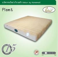 GOOD MATTRESS  ที่นอนยางพารา HOME MATT 3.5 /5/6 ฟุต // MODEL : PLANT ดีไซน์สวยหรู สไตล์เกาหลี ยางพารา หุ้มผ้าเวอลัว คุณภาพสูง สินค้าขายดีมาก หนา 10 นิ้ว