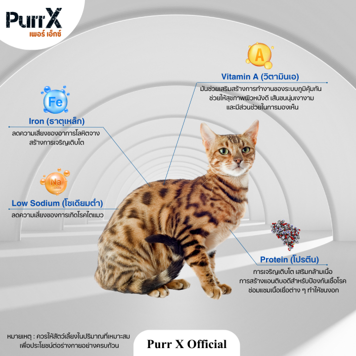 purr-x-ขนมฟรีซดรายแมวเกรดพรีเมียม-เซ็ทตับเป็ด-5-ถุง-ขนาดรวม-500-กรัม-duck-liver-freeze-dried-500-g-ขนมแมว-ขนมสุนัข