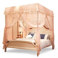 [COD] Floor-to-ceiling mosquito net home 1.5m bed princess style palace 1.8m bracket fixed account 2m encrypted thickening 1.2