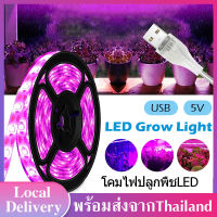 โคมไฟปลูกพืชLED LED Grow Light ไฟเติมพืช เส้นไฟLED  โคมไฟ USB 5V สามารถตัดได้ 0.5m/1m/2m/3m J53