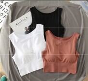 HCMÁo Bra thể thao thiết kế dáng croptop tôn vòng eo cá tính dành cho nữ