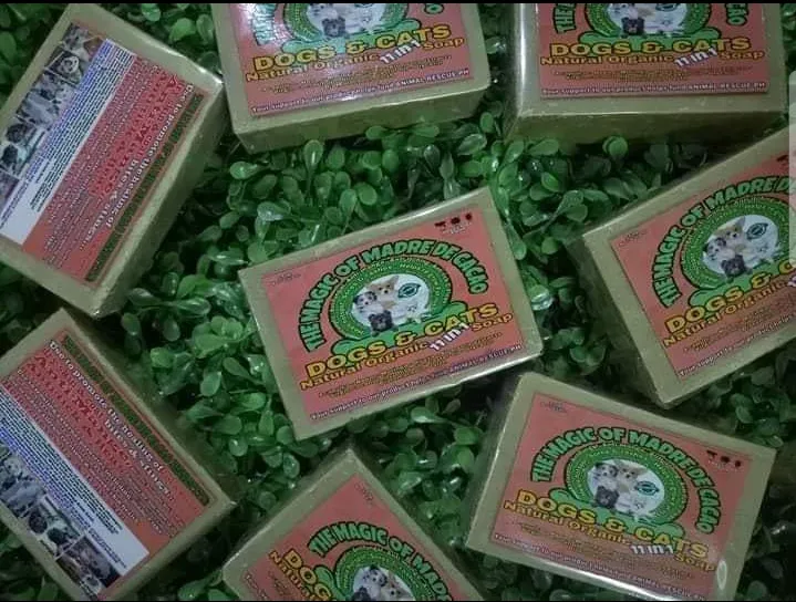 Madre De Cacao Bar Soap with 11 benefits Lazada PH